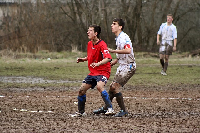 戴维斯在场 戴维斯在场