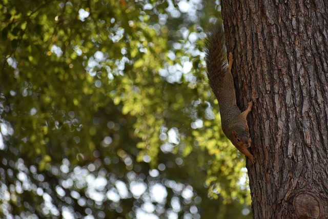 十分明确 十分明确
